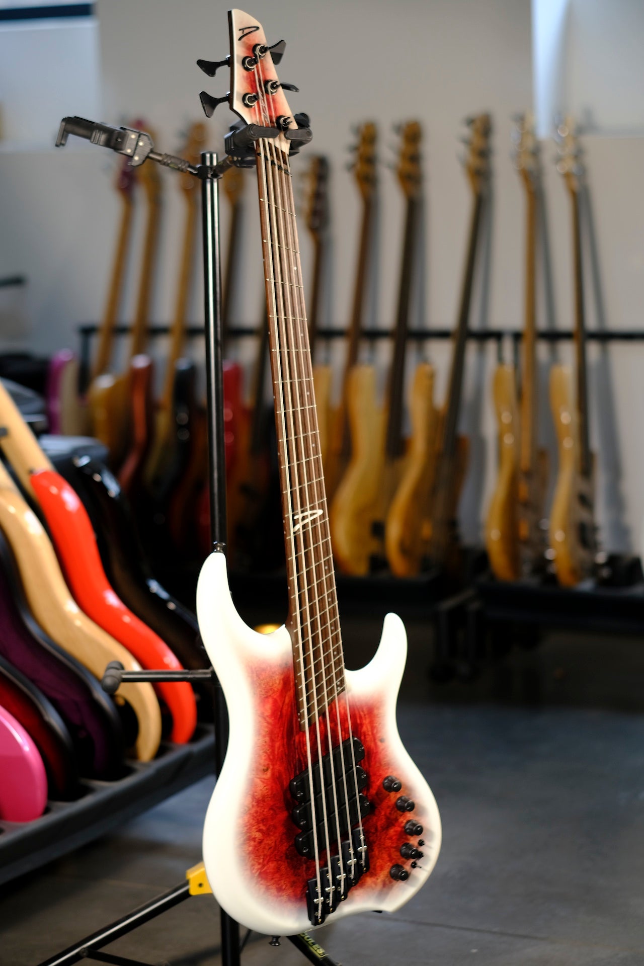 Dingwall Guitars Z3 5 'Red to White' – Bass Freaks Sprl