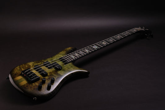 Spector Euro 4 CST LTD - Haunted Moss Gloss