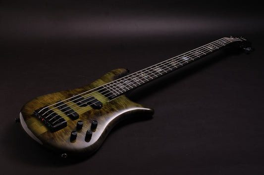 Spector Euro 5 CST LTD - Haunted Moss Gloss