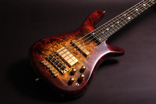 Warwick Custom Shop Streamer Stage II 5 – 2025 Limited Edition