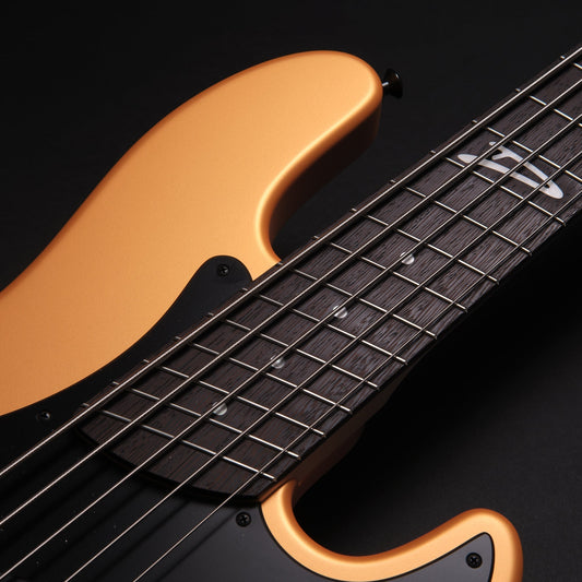 Multiscale Bass, Explained: What Fanned Frets Actually Do