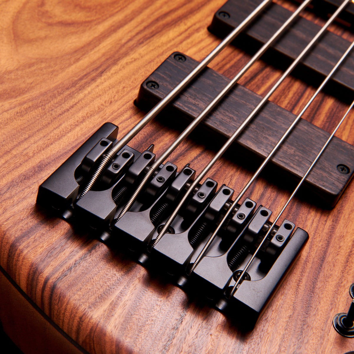 Adamovic Katana 5 Pao Ferro 5-string bass at Bass Freaks