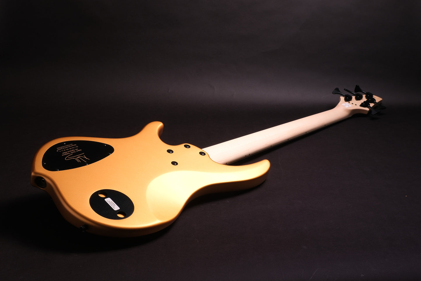 Dingwall NG3 Adam “Nolly” Getgood Signature 5 – Gold Matte