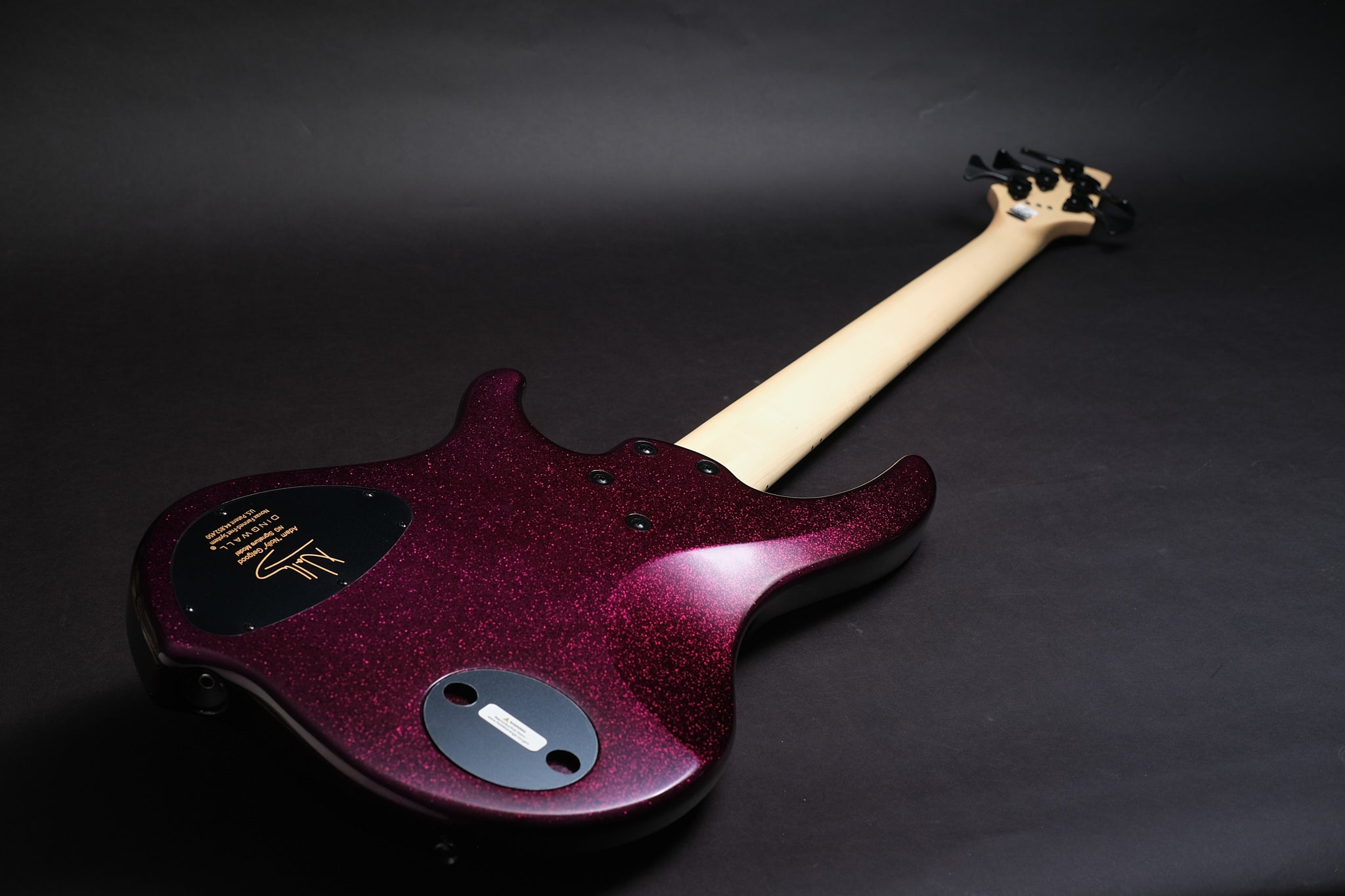 Dingwall NG3 5-String Bass: Ultimate Tone and Playability - Bass