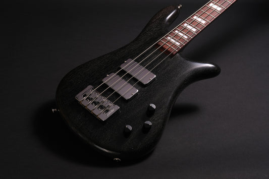 Spector NS-2 Woodstock Era 32"- Black Silver Doghair