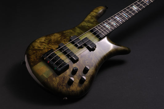 Spector Euro 4 CST LTD - Haunted Moss Gloss