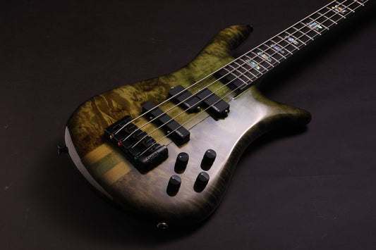 Spector Euro 4 CST LTD - Haunted Moss Gloss