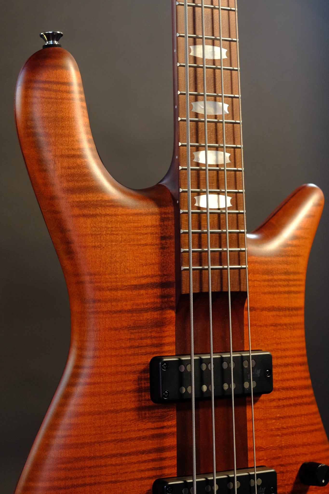 Spector Euro 4 RST 'Sienna stain'