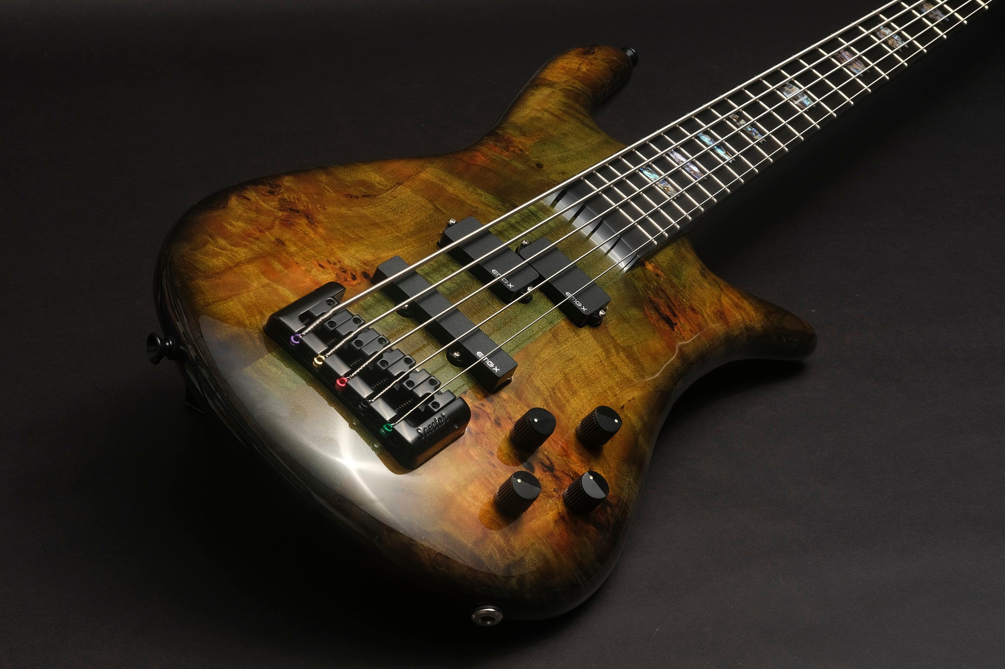 Spector Euro 5 CST 2025 – Haunted Moss Gloss 5-String Bass - Bass