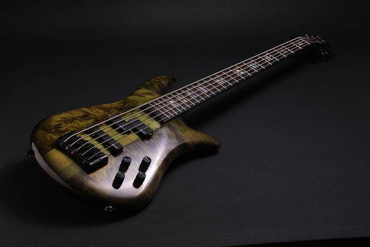 Spector Euro 5 CST LTD - Haunted Moss Gloss