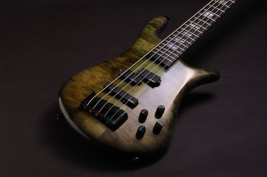 Spector Euro 5 CST LTD - Haunted Moss Gloss