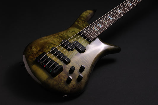 Spector Euro 5 CST LTD - Haunted Moss Gloss