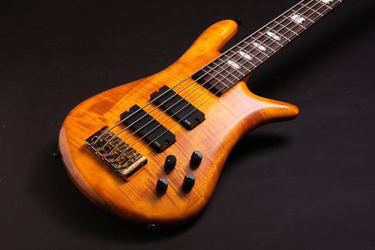 Spector Euro 5 LX Ltd - Amber