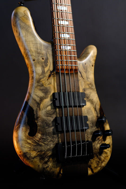 Spector USA NS-5 Neck-Thru - Buckeye Burl