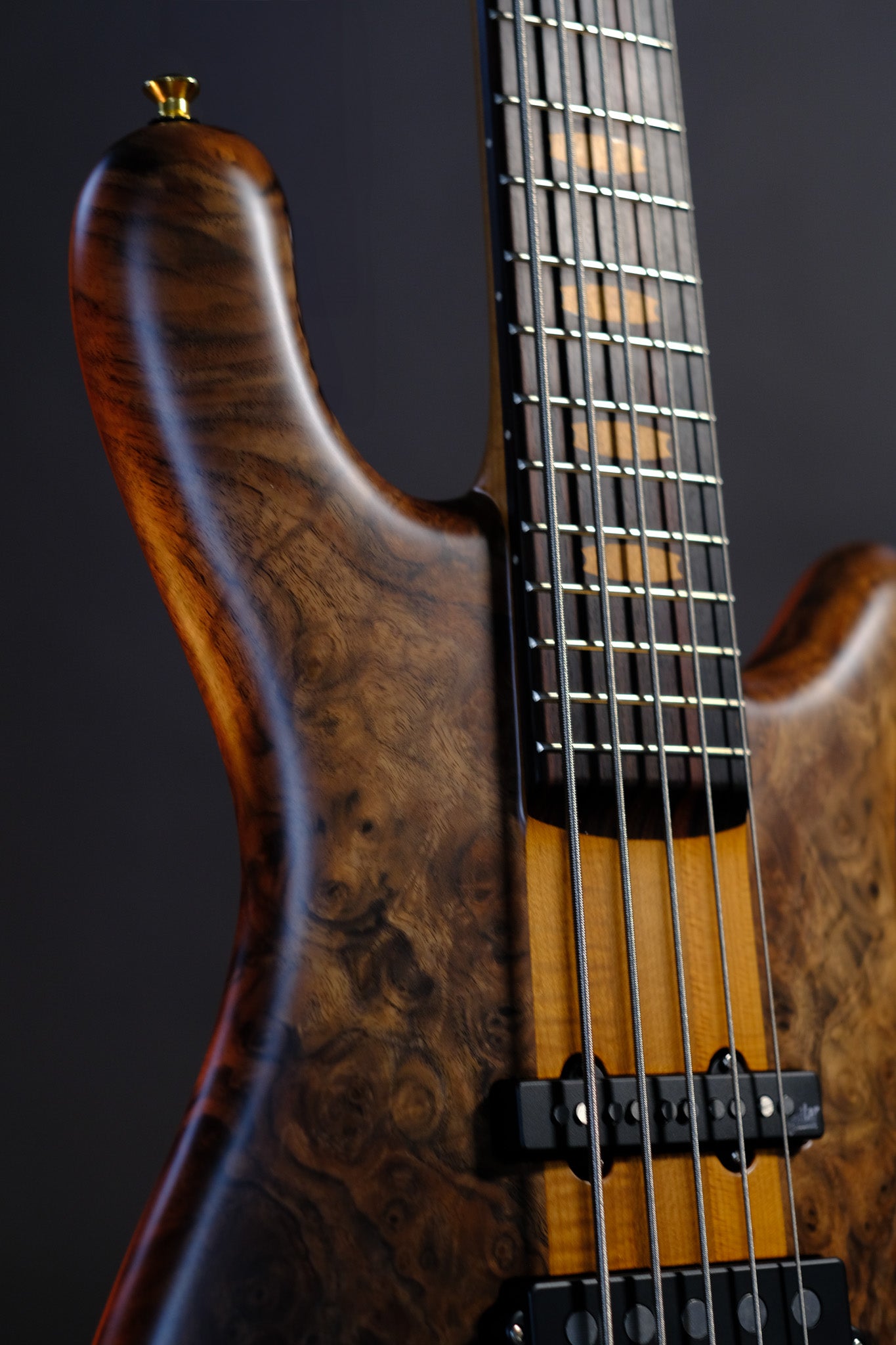 Spector USA NS-5 Neck-Thru - Figured Walnut