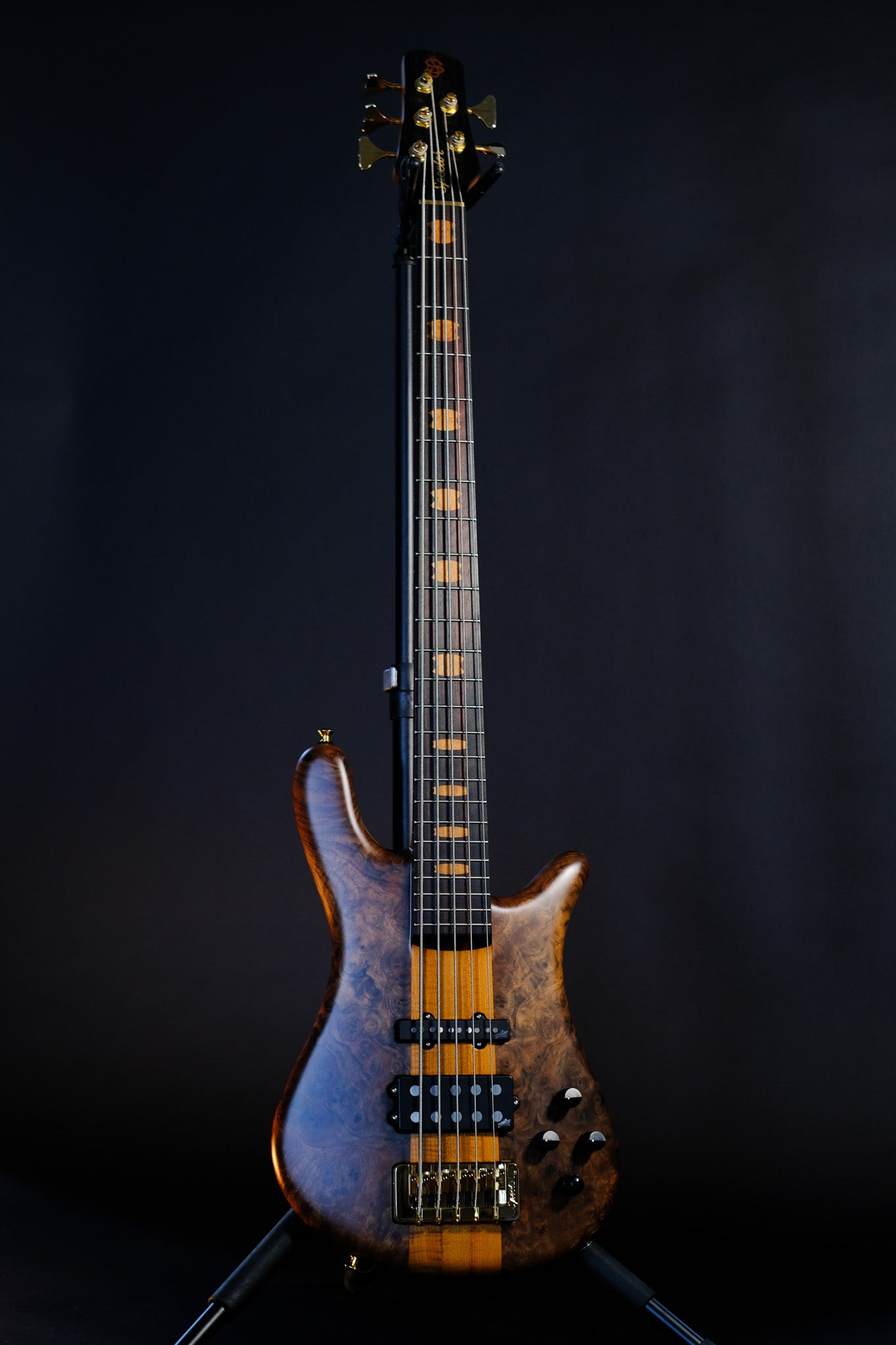 Spector USA NS-5 Neck-Thru - Figured Walnut