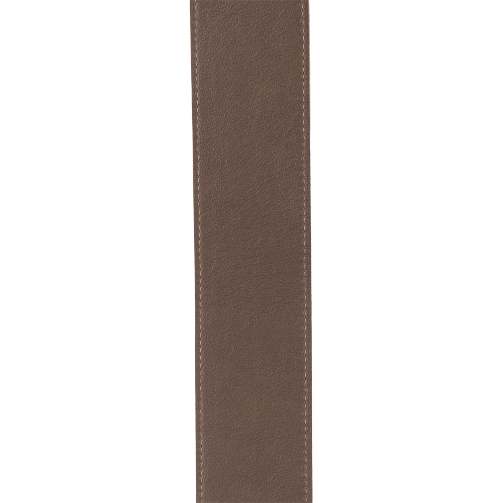 D'Addario Auto Lock swivel strap end detail showing the locking jaw